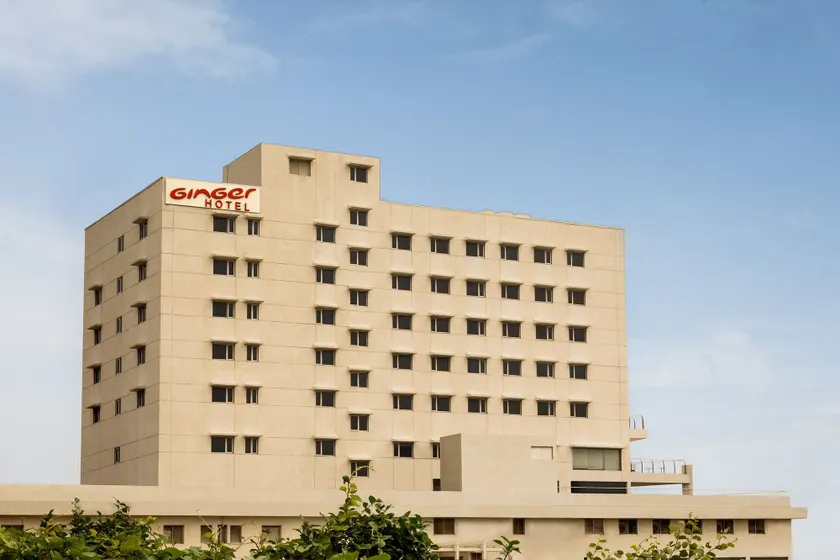 Ginger Vapi - Image 1