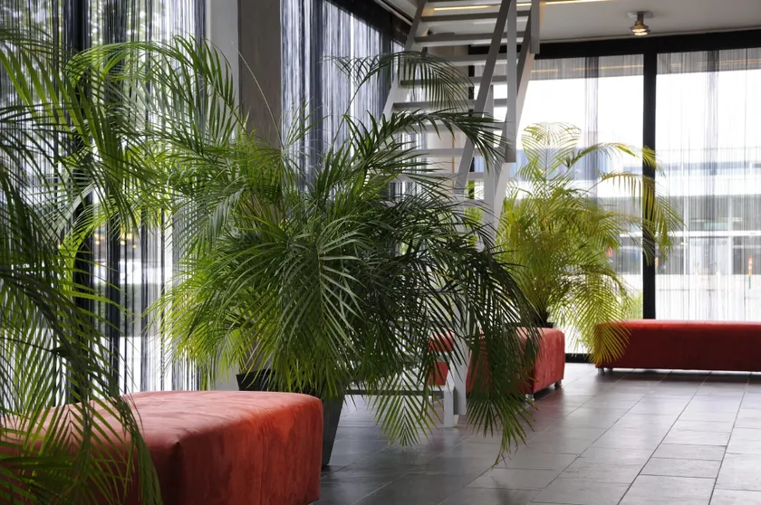 Hotel Corbie Lommel - Image 1