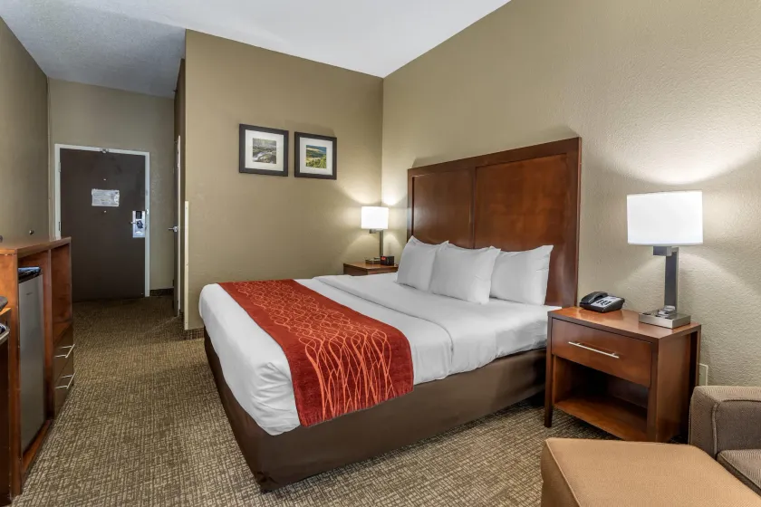 Comfort Inn Kingsport Southeast - Image 1