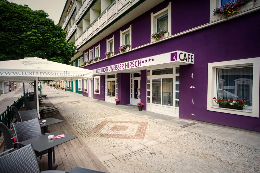 Aktivhotel Weißer Hirsch - Image 1
