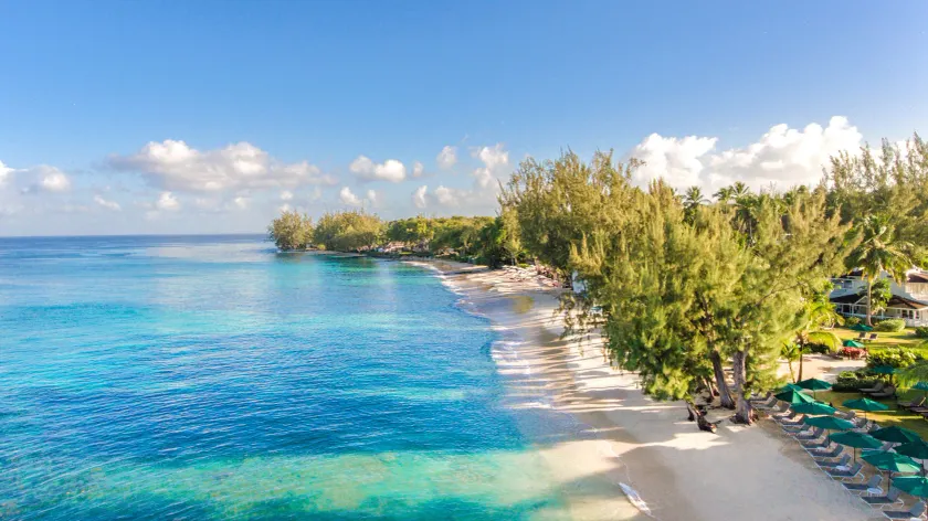 Coral Reef Club - Image 1