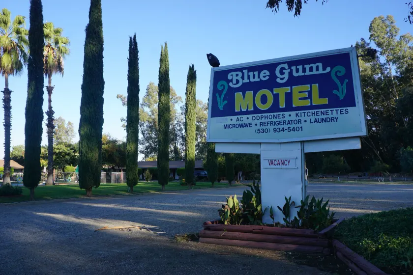 Blue Gum Motel - Image 1