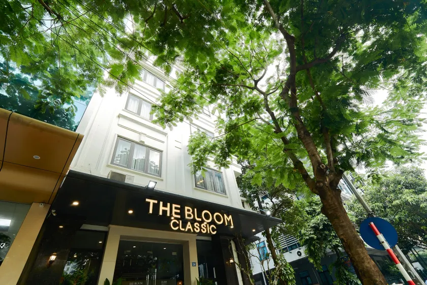 The Bloom Classic - An Excellent Blend of Cozy Living and Urban Relaxation - Image 1