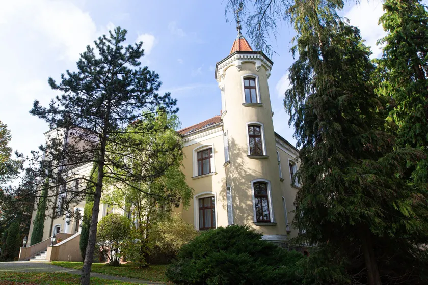 Pałac Cieszyno - Image 1
