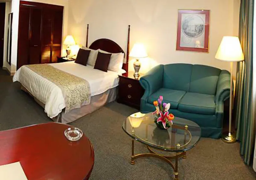 Pedregal Palace - Image 1