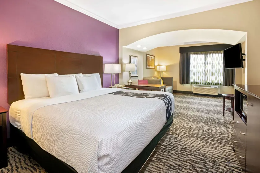 La Quinta by Wyndham Houston - Magnolia - Image 1