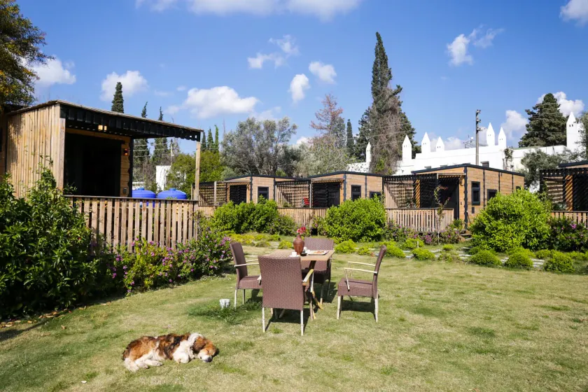 Bitez Tiny Houses - Imagen principal
