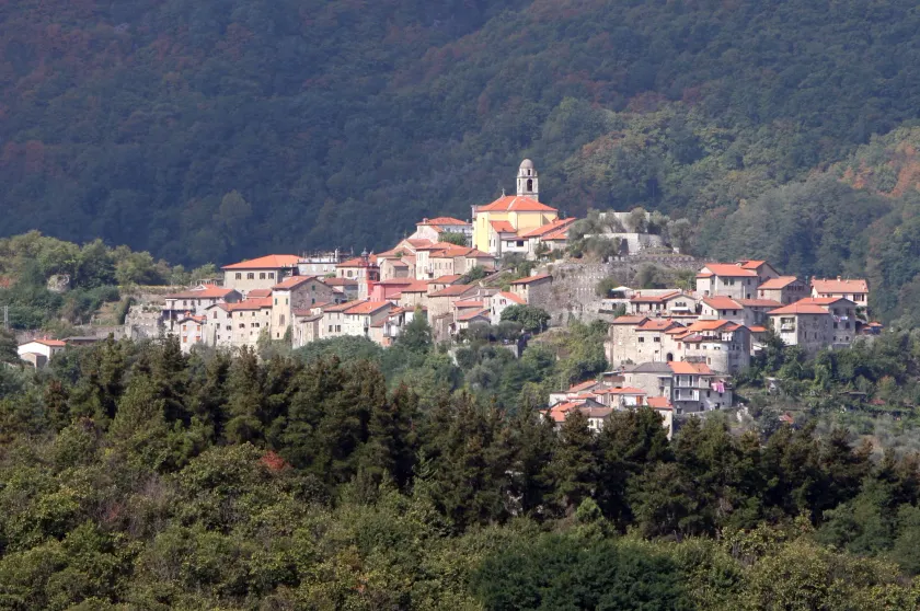 Park Hotel La Pineta - Image 1