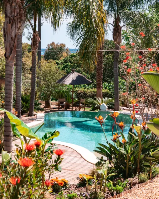 Cannes Villa St Barth - Image 1