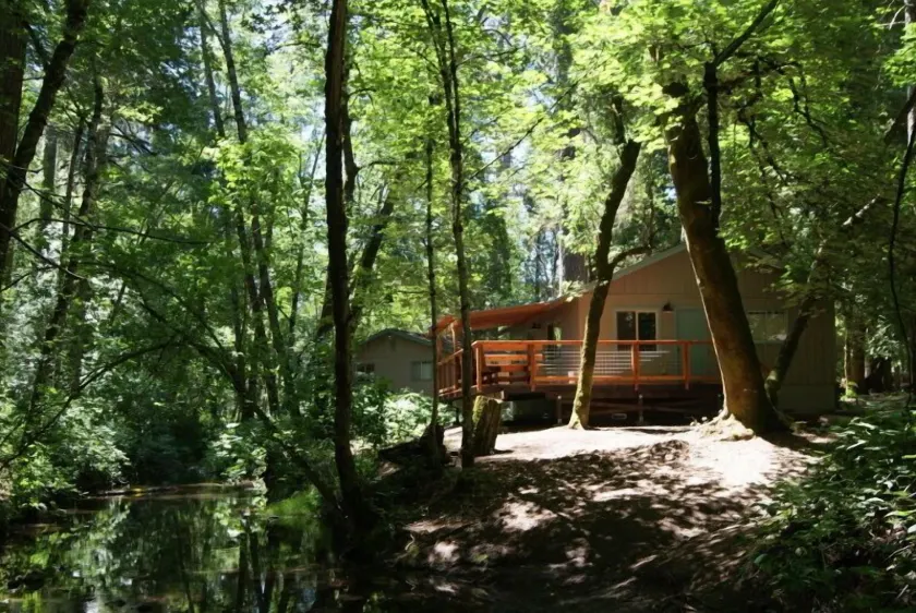 Pine Grove - Image 1