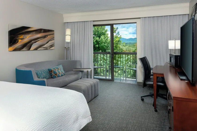 Courtyard by Marriott Asheville - Image 1