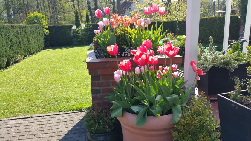 Hotel-Pension Am Fuchsberg - Image 1