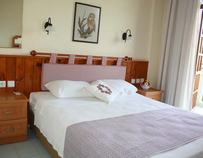 Patara Viewpoint Hotel - Image 1