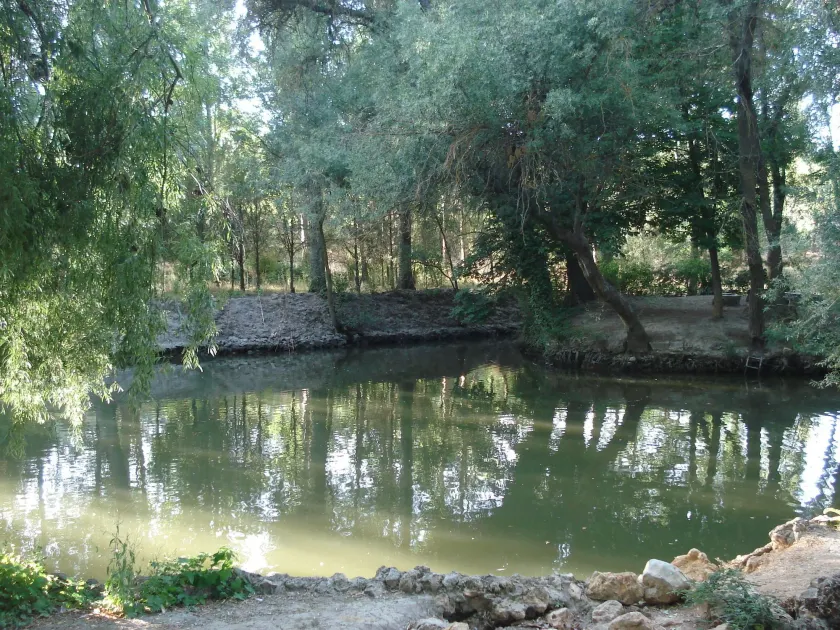 El Rincon del Labrador - Image 1