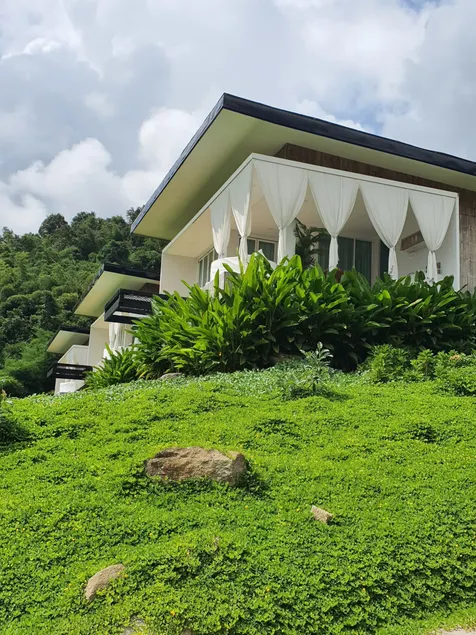 เฌอปือ เชียงใหม่ Cherpue Chiangmai - Image 1