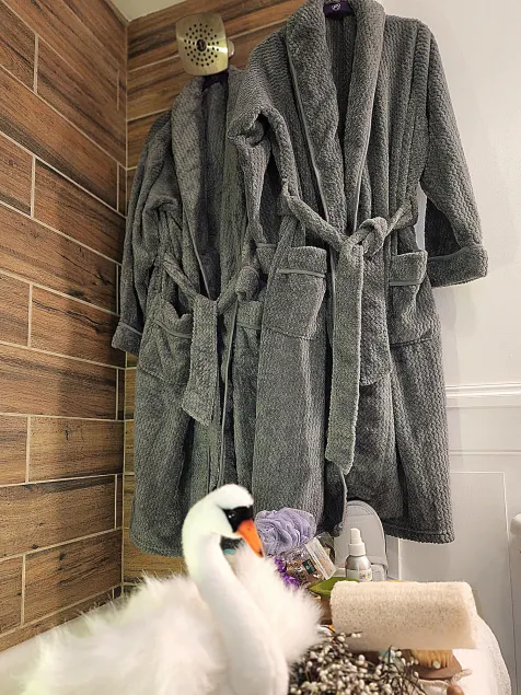 Swan Sanctuary Suite, rabat på forlænget ophold - Image 1