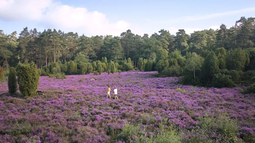 Hotel Bispinger Heide by Center Parcs - Image 1