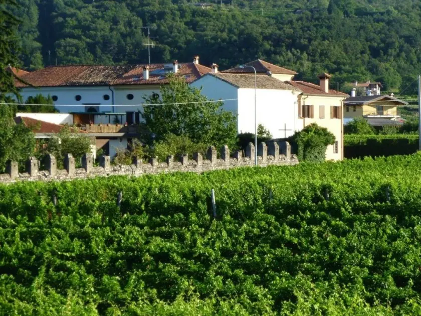 Agriturismo Grillo Iole Winery - Image 1