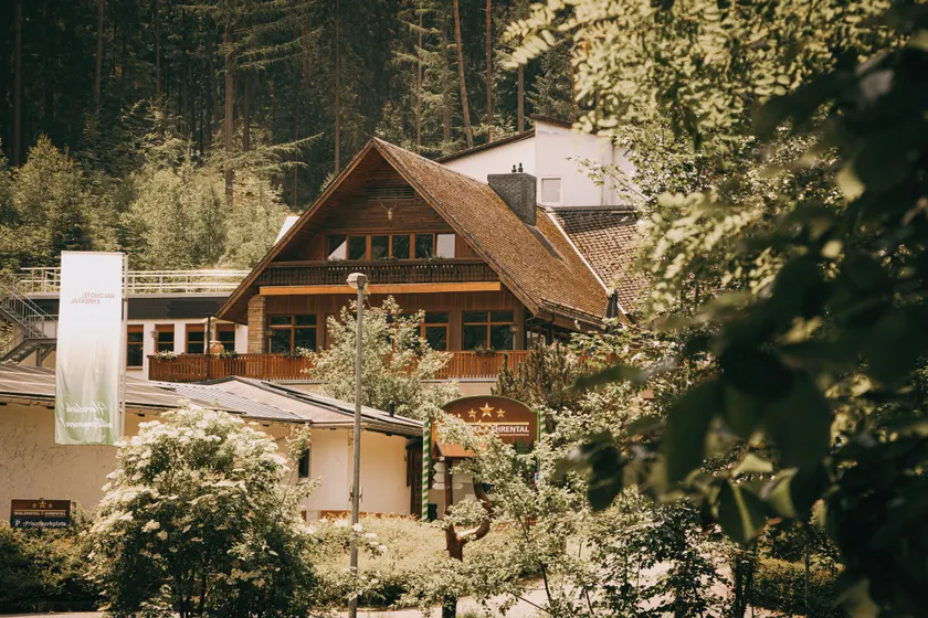 Waldhotel Ehrental - Image 1