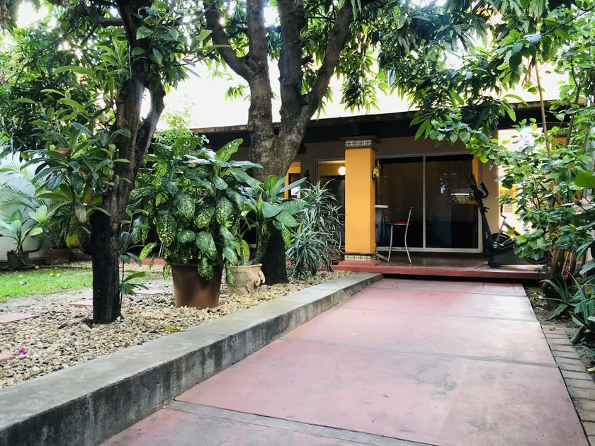 Los Nardos Hostel -pet friendly- - Interior entrance