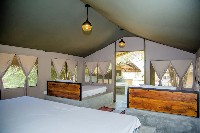Yala Wild Hut - Yala - Image 1