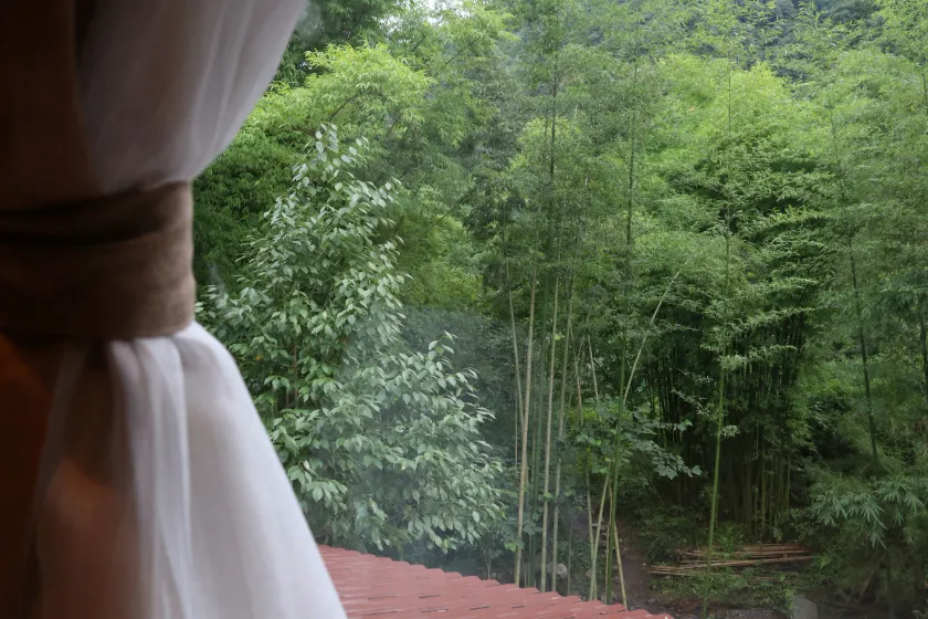 Qing Dynasty House - Image 1