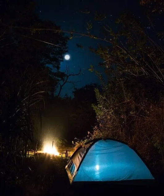 Tropicalfolks Campers Lodge - Image 1