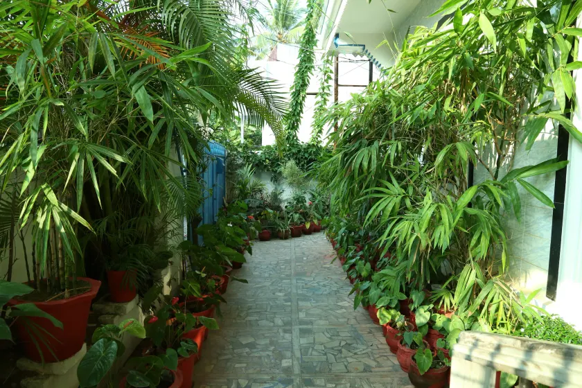 Dream Catcher Home Stay - Image 1