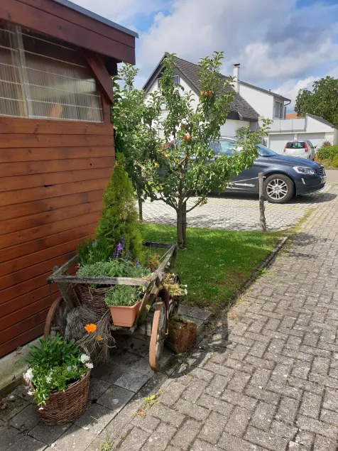 Pension Boitz - Image 1