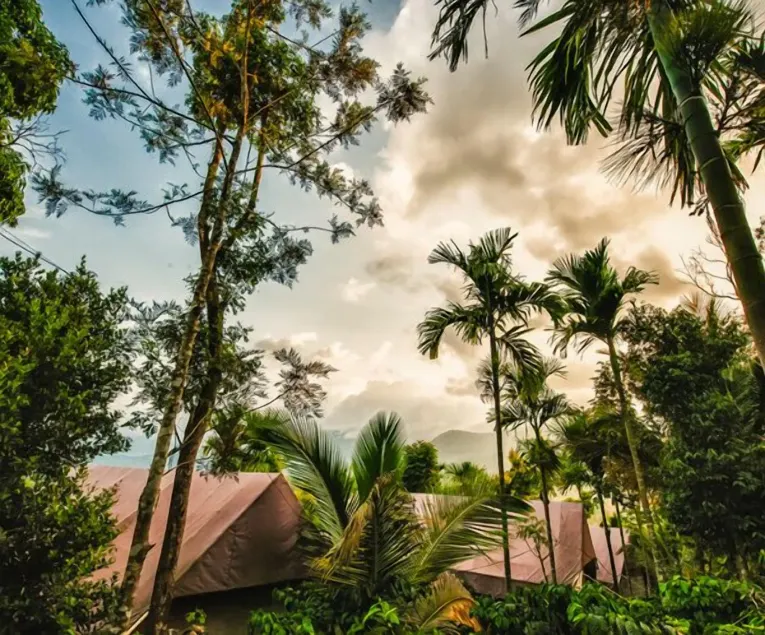 Grassroots Wayanad, Valley-view Tents - Image 1