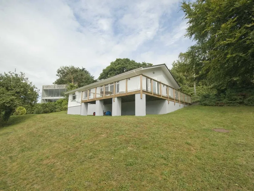 The Meadow - Image 1