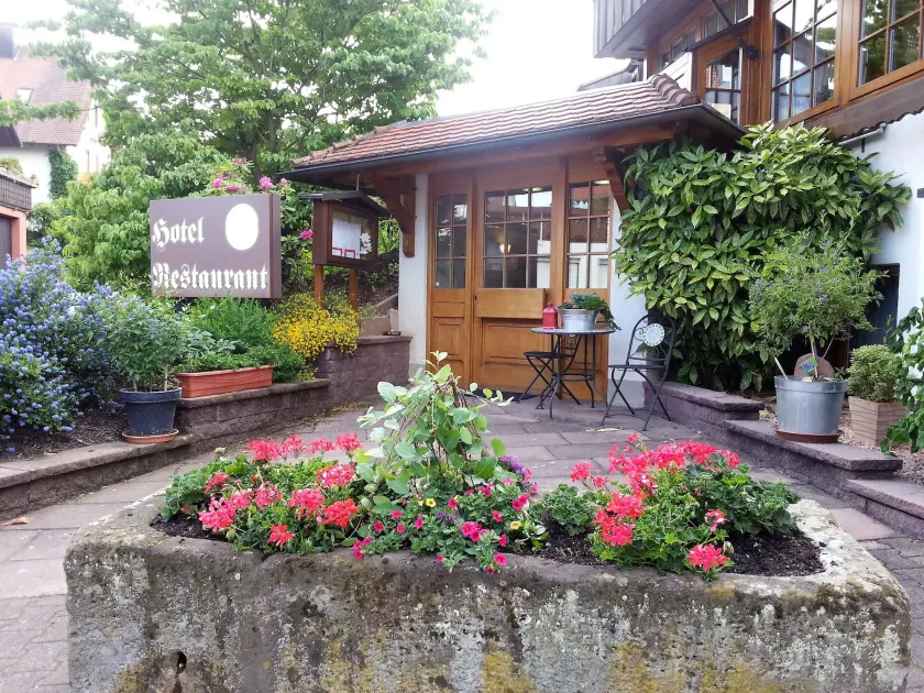 Hotel Altenberg - Image 1