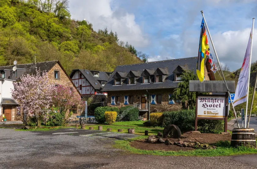 Mühlen Hotel Konschake - Image 1