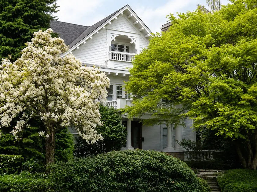 Evermore Guesthouse - Image 1