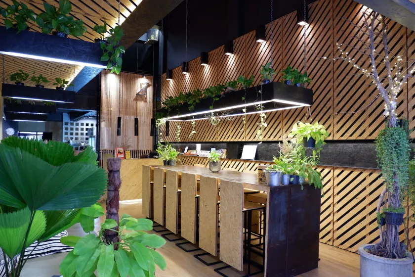 Hugger Hostel - Image 1