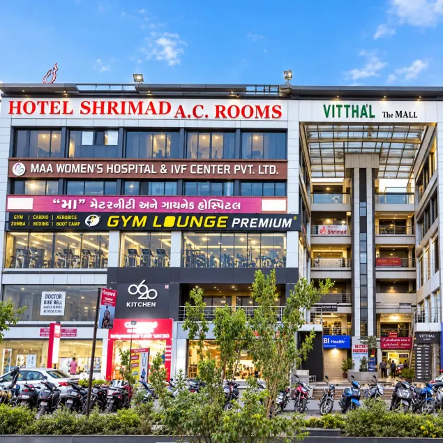 Hotel Shrimad - Image 1