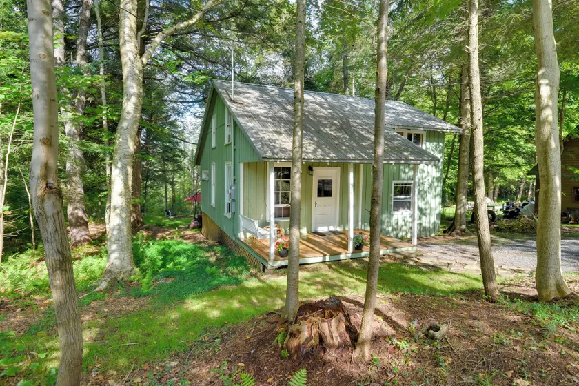 Adirondacks Cabin w/ Fire Pit on Otter Lake! - Image 1
