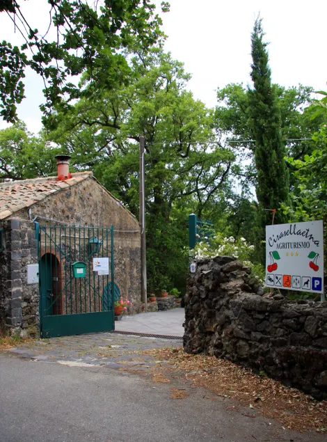 Cirasellaetna - Image 1