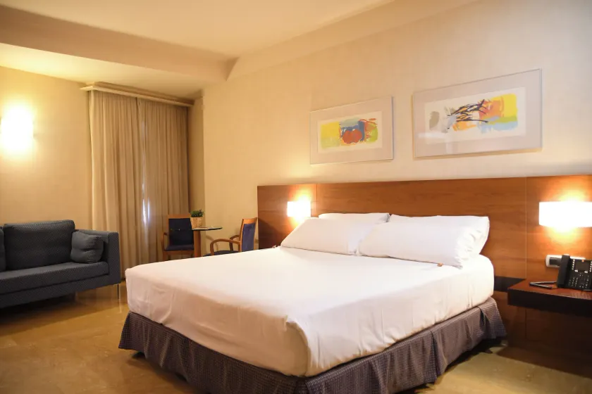 Sercotel Palacio de Tudemir - Image 1