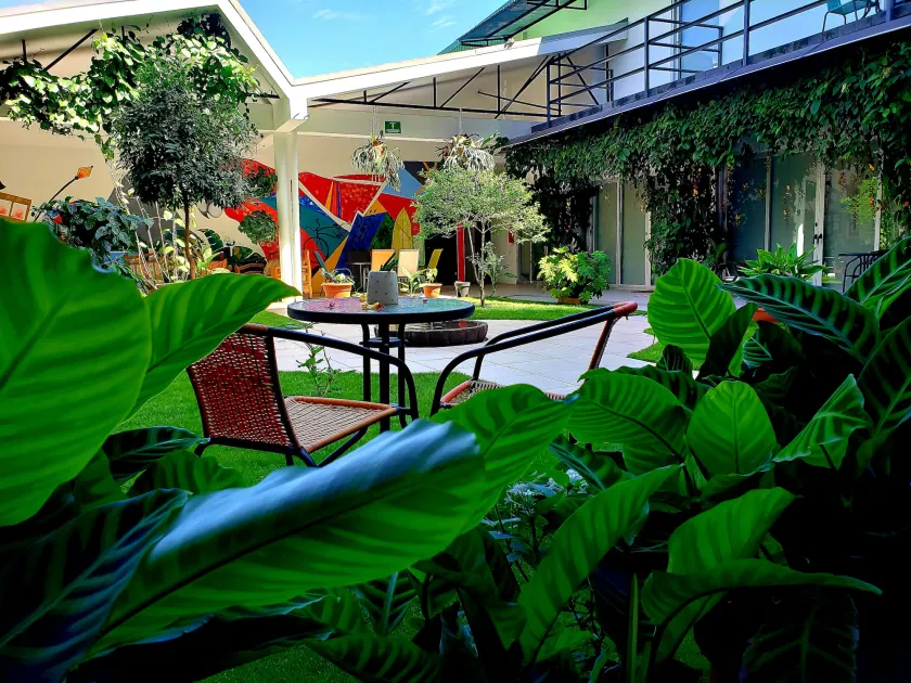 Cando Living Apartments in Central Avenue - Image 1