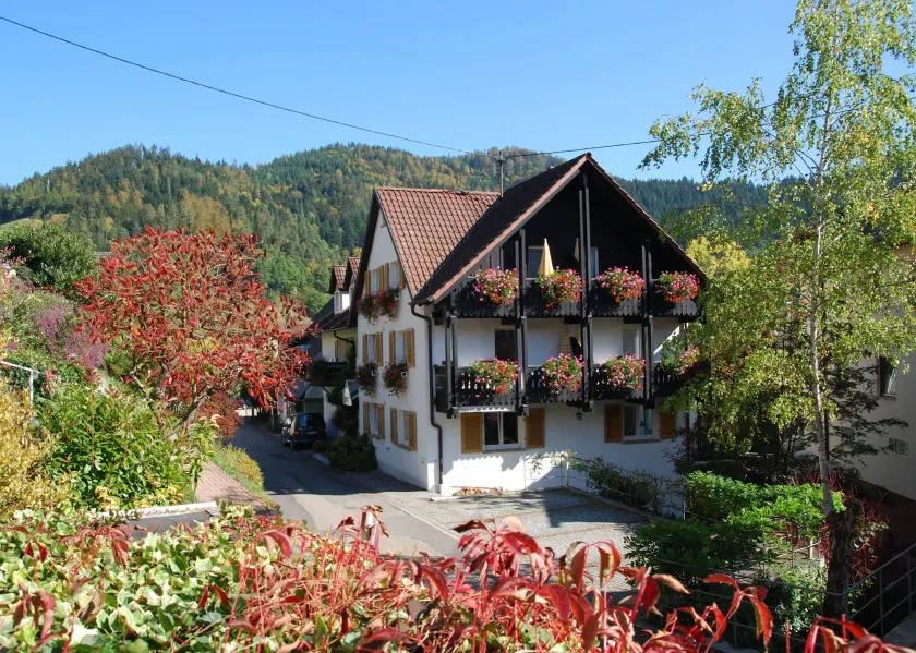 Hotel am Mühlbach - Image 1