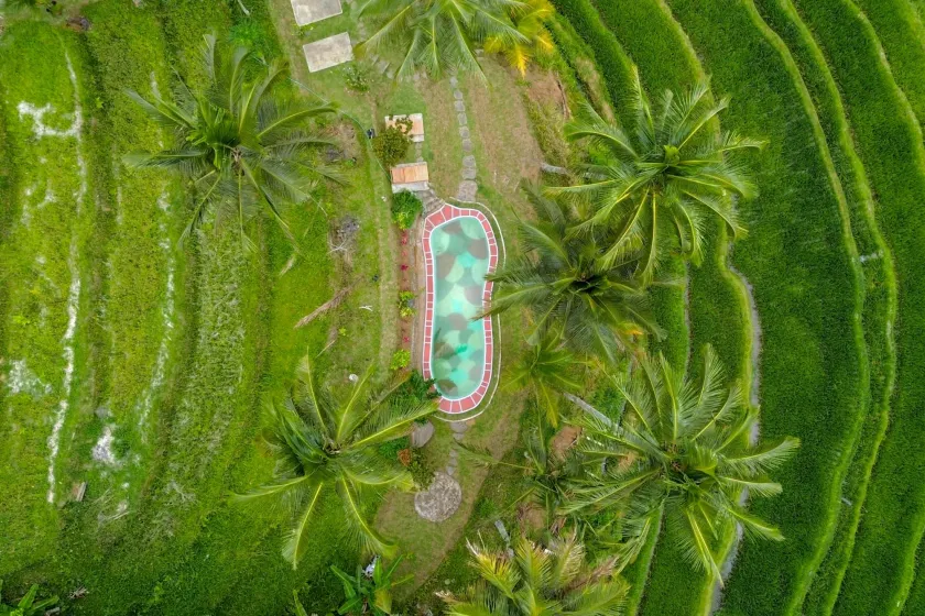 Pesona Bali Ecolodge by AGATA - Image 1