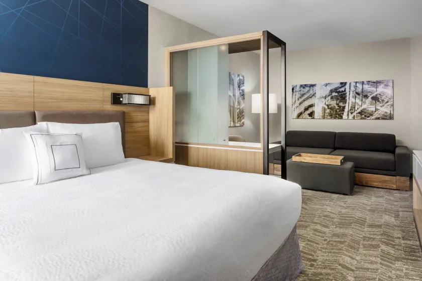 SpringHill Suites by Marriott Belmont Redwood Shores - Image 1