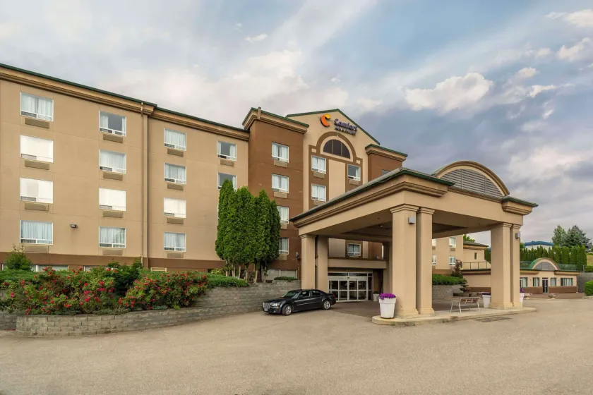 Comfort Inn & Suites - Image 1