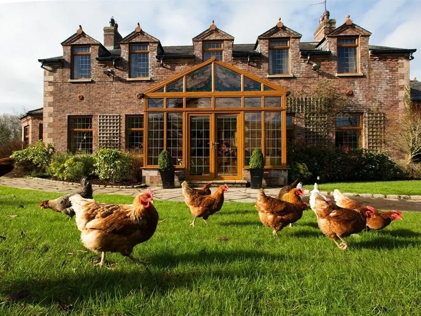 Blackwell House - Image 1