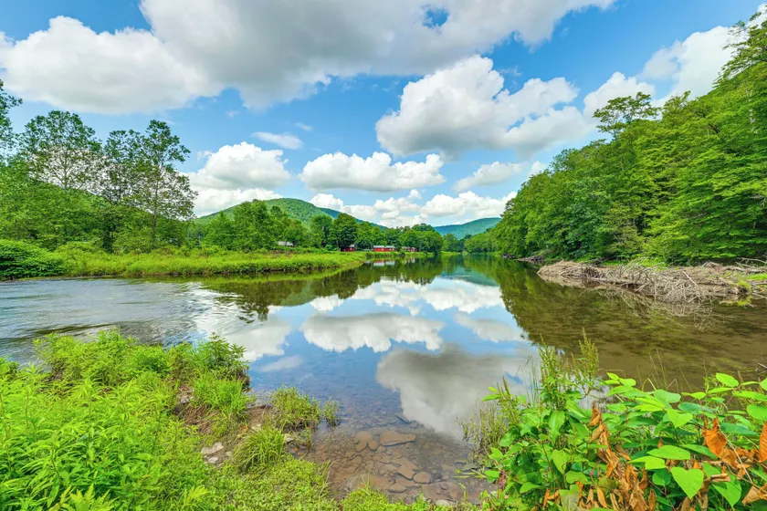 Hike & Fish: Delaware River Cabin w/ Views - Image 1
