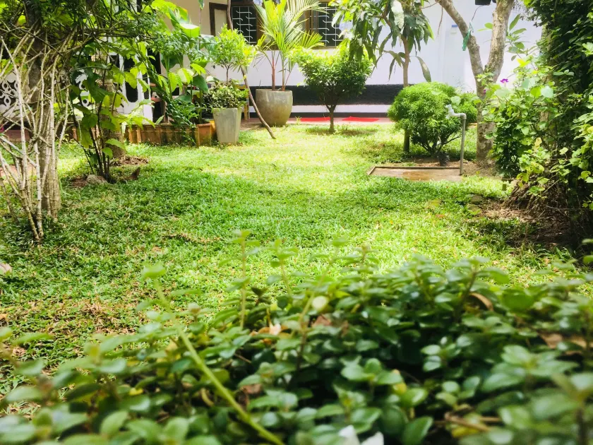 Nature Rex Hostel - Image 1