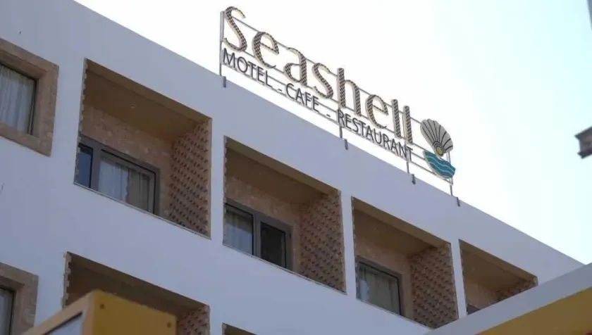 Seashell - Image 1