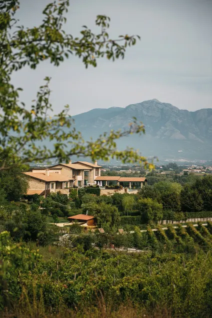 Tenuta Pezzapane - Image 1