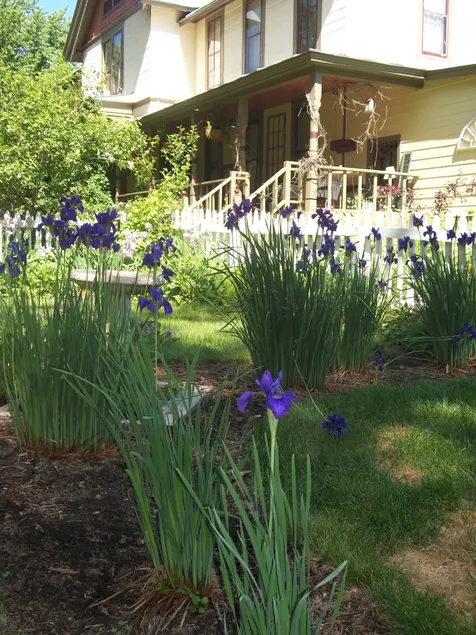 Apple Tree Lane Bed & Breakfast - Image 1